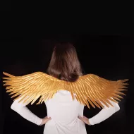 zlata krila