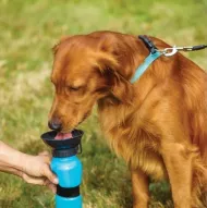 Potovalna steklenička za pse s skledo - 500 ml - DOGS Collection