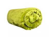 Aaryans Mikroflanelna odeja, 200 x 220 cm, zelena